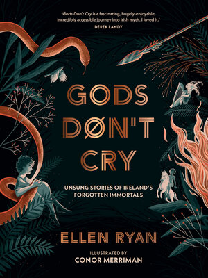 cover image of Gods Don't Cry